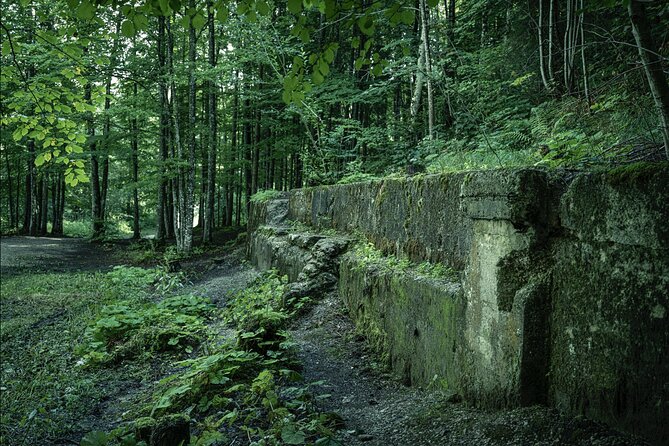 Berchtesgaden-Obersalzberg Private Half Day WWII Historical Tour - Who should book this WWII Obersalzberg tour