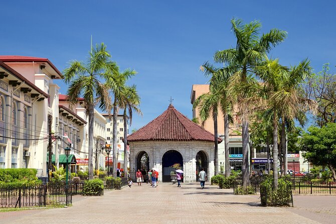 BEST OF CEBU: Cebu City Heritage with Uphill Tour | Joiners - Sirao Pictorial Garden: Little Amsterdam, but keep it real