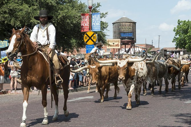 Best of Fort Worth from Dallas & Fort Worth - Dallas-to-Fort Worth scenery: the drive is part of the show