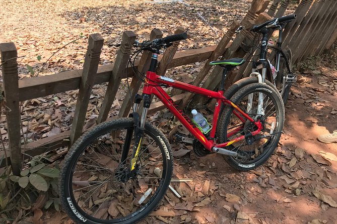 Biking Tour in Angkor Wat, Angkor Thom Ancient Capital, Ta Promh - Stop 2: Ta Prohm, where roots steal the show