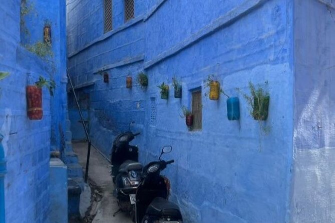 Blue city heritage walk - Meeting point at Toorji Ka Jhalra: what to expect before you start