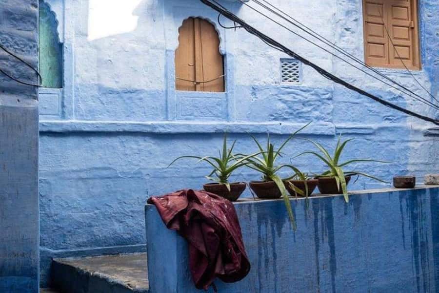 Blue City Heritage Walking Tour With Pick Up & Drop Off - Who this walking tour fits best (and who should skip it)