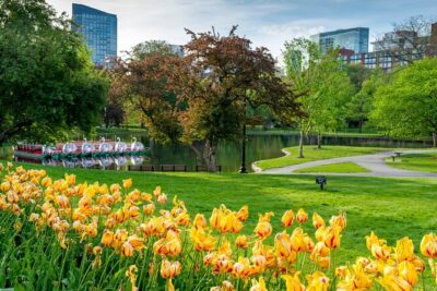 Boston: Votes for Women History Tour of Back Bay - Boston Public Garden and the suffrage “vibe shift”