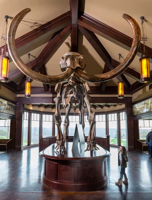 Branson: Top of the Rock Ozarks Heritage Preserve - Meals, Comfort, and the Stuff Nobody Plans Until It’s Too Late