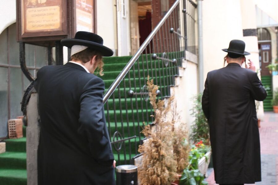 Budapest: Jewish Heritage Guided Tour with Synagogue Ticket - Holocaust Memorial Park and the Tree of Life: respect without numbness