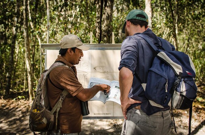 Calakmul Ancient Maya City Tour - From Campeche - Who this tour is best for (and who should think twice)