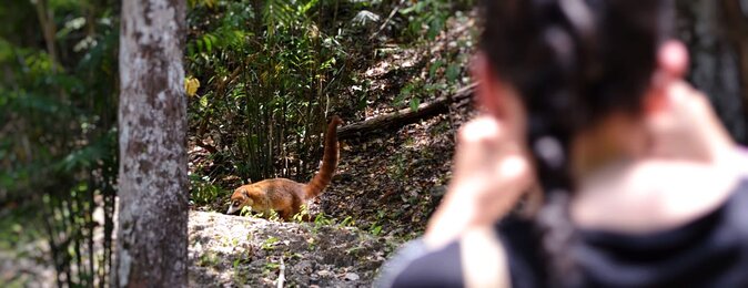 Calakmul Ancient Maya City Tour - From Campeche - The long drive into the Calakmul Biosphere Reserve