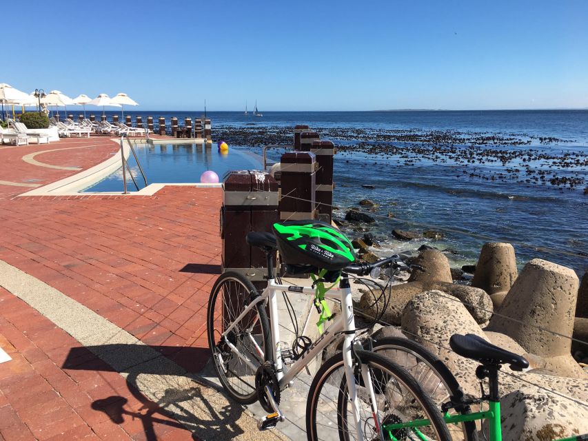 Cape Town Guided City Cycling Heritage Tour - Private Tour - Back toward V&A Waterfront: the coastal loop that finishes strong
