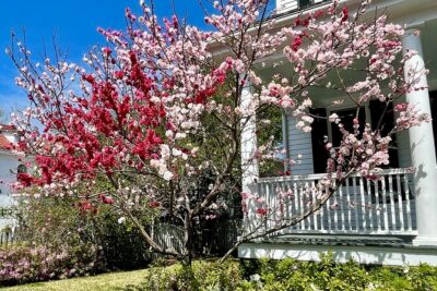 Charleston History Tour / - Starting at 80 Broad St: you’ll feel the city’s center fast
