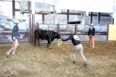 Charreria heritage tour be a charro for a day - Museum and Horse Stables: Learning Charros in Jalisco Before You Ride
