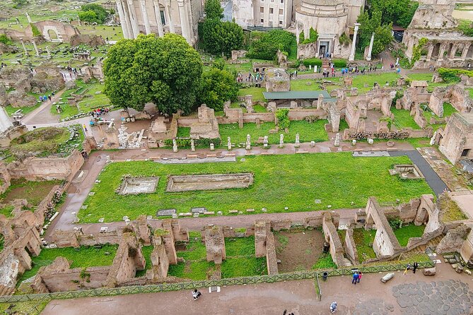 Colosseum & Ancient Rome Guided Walking Tour - Value for $65.33: what you’re paying for (and what you aren’t)