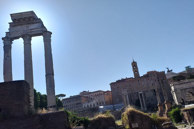 Colosseum & Ancient Rome - Private Tour - Private guide value: worth it when you want real understanding