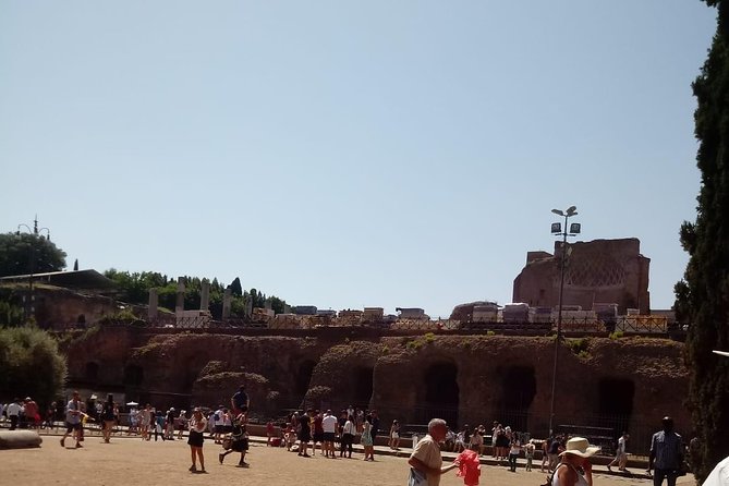 Colosseum and Ancient Rome Express Tour - Value check: is the price fair for what you actually get?