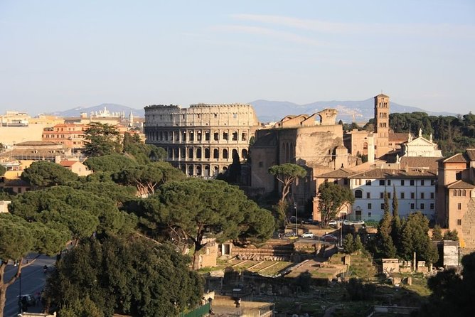 Colosseum and Ancient Rome Private Guided Tour - Private guide energy: what you can expect from the storytelling