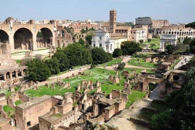 Colosseum and Ancient Rome Private Guided Tour - How much is this really worth?