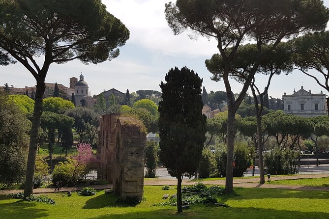 Colosseum Arena Floor and Ancient Rome Semi Private Guided Tour - Palatine Hill perspective: why the views are more than scenery