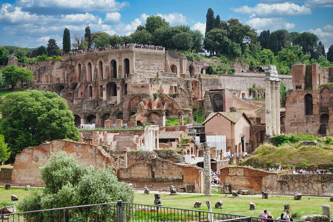 Colosseum Guided Tour and Ancient Rome - The Colosseum’s story: what to look for during the guided hour