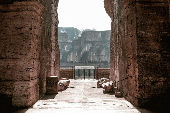 Colosseum Guided Tour and Ancient Rome - Palatine Hill: self access with panoramic payoffs