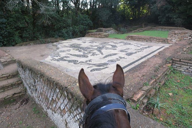 Daily out of Rome : Horseback ride with meals & wine included - Centro Ippico Valle Verde: Where the Horses Teach First