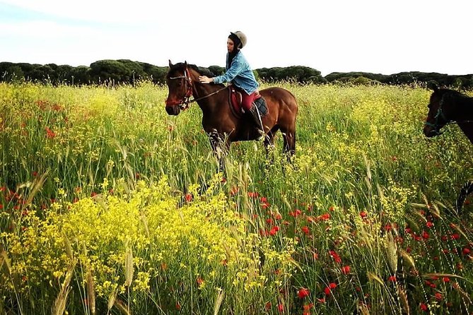 Daily out of Rome : Horseback ride with meals & wine included - Classes for Beginners and More Experienced Riders