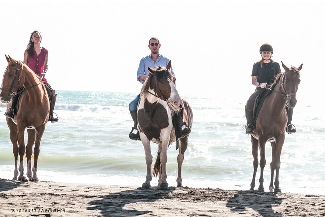 Daily out of Rome : Horseback ride with meals & wine included - Lunch, Meals, and Wine in an Italian Village Square