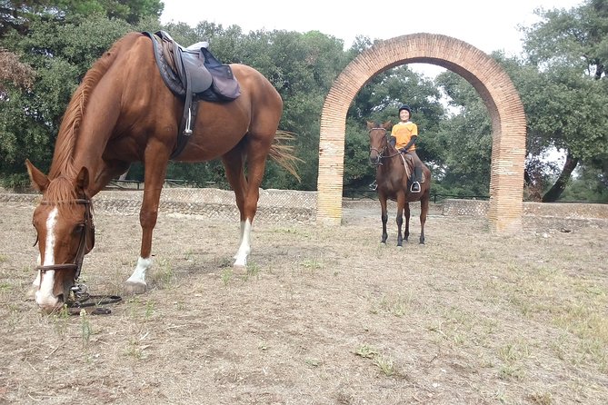 Daily out of Rome : Horseback ride with meals & wine included - Practical Considerations: Fitness, Comfort, and Getting a Bit Outdoorsy