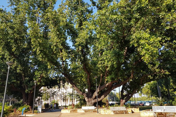 Darwin Heritage Walk - Darwin CBD in About Two and a Half Hours