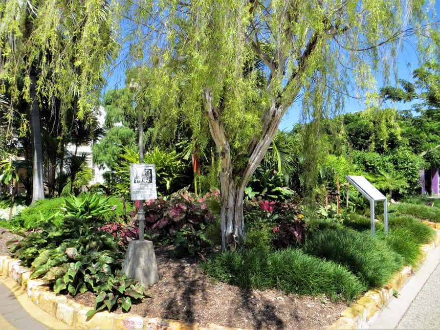 Darwin: Small Group 2-Hour Heritage Walk - Key highlights