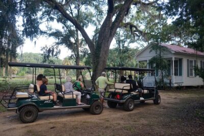 Daufuskie Island Guided History Tour from Hilton Head - The boat ride: where dolphins and views do the heavy lifting