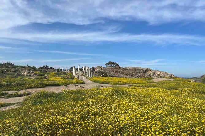 Day Tour to Famagusta, Ghost Town & Ancient Salamis - Salamis Ruins: Roman-Byzantine Cyprus in a Single Stop