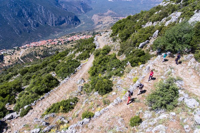 Delphi: Ancient Footpath Delphi Hiking - Key highlights worth planning around