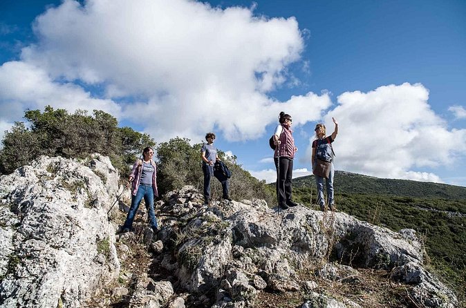 Delphi: Ancient Footpath Delphi Hiking - The myth and nature stops: Pan’s trail and stories you can picture