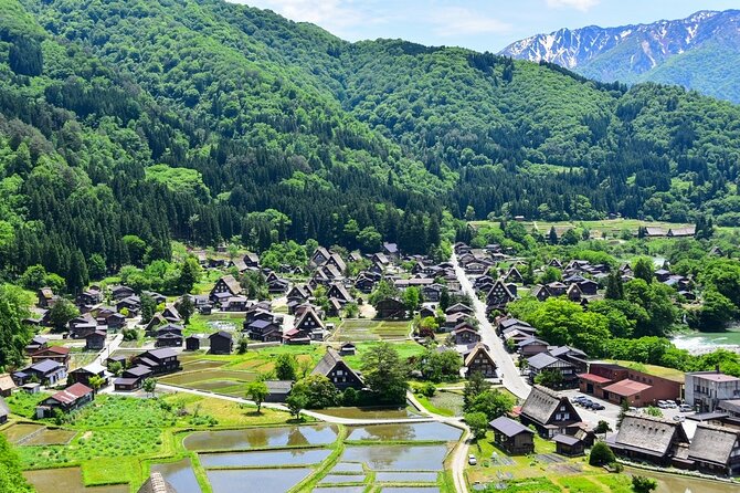 Departing from Takayama [Regular sightseeing bus] World Heritage Sites Shirakawago and Gokayama Ainokura - Quick Take: What’s Special Here
