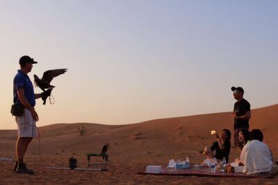 Desert Safari with Entertainment & BBQ Dinner-Heritage Camp - Dune Bashing and Sand Boarding: The Main Event