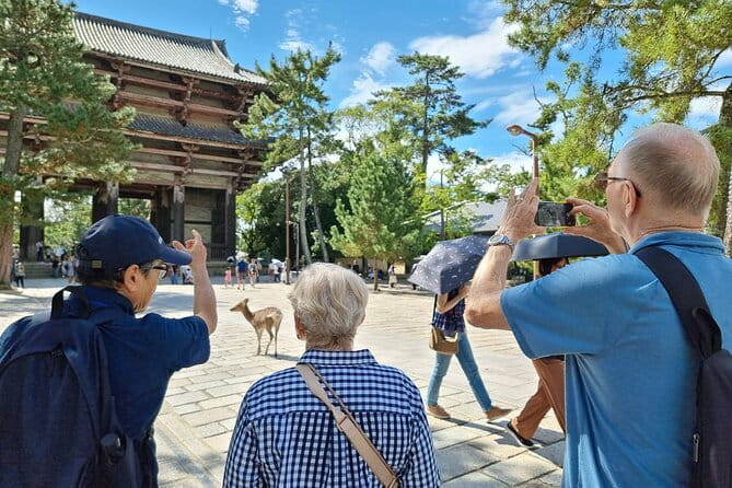 Discover Ancient Nara: Private Car Tour from Kyoto or Osaka - Mt. Wakakusa: the view stop that turns into a deer photo session