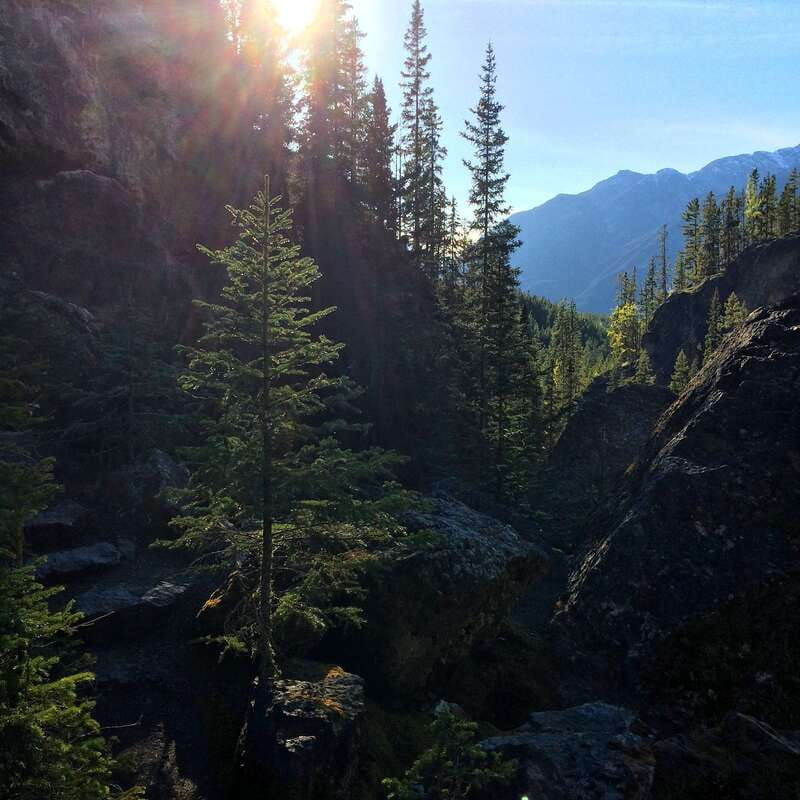 Discover Ancient Pictographs - Guided Canyon Hiking Tour 3H - Your 3-hour canyon hike from Canmore Recreation Centre