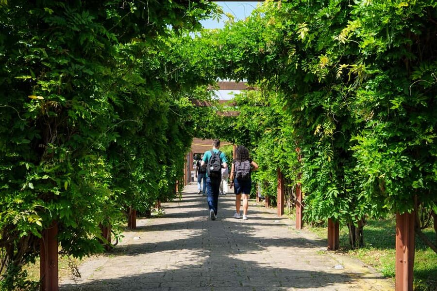 Discover Herculaneum: A guided tour of the ancient Roman city - Key things to look for before you go
