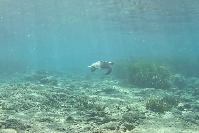 Discover Scuba Diving Amathounta's Ancient Port - Amathounta’s ancient port below sea level: what you’re seeing