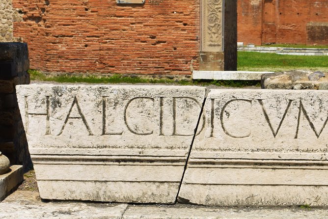 Discover the Ancient Ruins of Pompeii: Day Trip from Rome - Guide quality and language pacing: the multilingual factor