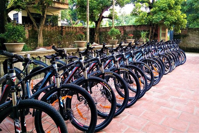 Discover Trang An Natural World Heritage, Bich Dong Pagoda, Cycling Day Tour - Cycling around Tam Coc: rice fields, limestone views, and a local-family visit