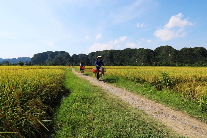 Discover Trang An Natural World Heritage, Bich Dong Pagoda, Cycling Day Tour - Lunch in Ninh Binh: included meal, local flavors, yin-yang balance