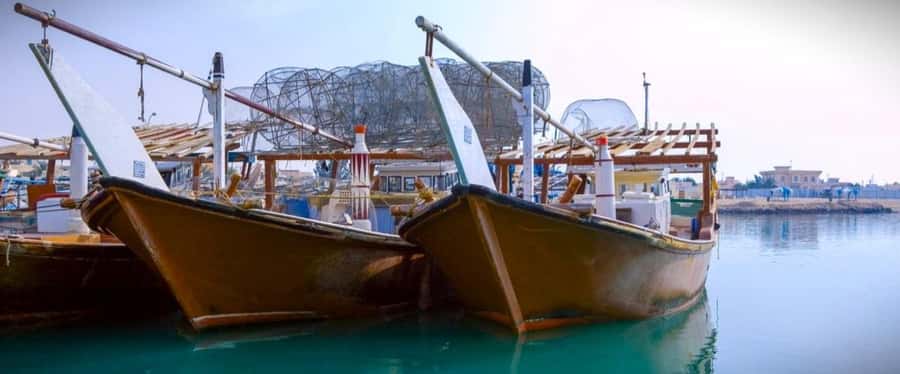 Doha: Combo Heritage & Art Tour of North and West Qatar - Pickup from Doha and what to expect day-of