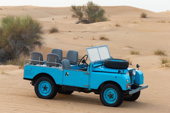 Dubai Camel Desert Safari, Traditional Meal & Heritage Activities - Falconry at sunset: what you’re really seeing