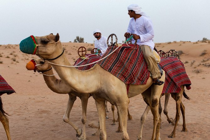 Dubai Camel Desert Safari, Traditional Meal & Heritage Activities - The 4-course Emirati dinner under the stars (and the entertainment that follows)