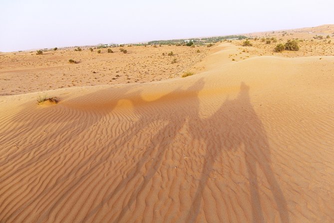 Dubai Camel Desert Safari, Traditional Meal & Heritage Activities - Dubai Desert Conservation Reserve: the quick culture stop that sets the tone