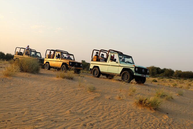 Dubai Evening Heritage Safari by Vintage G Class Al Marmoom Oasis - A vintage G-Class changes the whole safari vibe