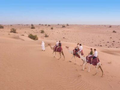 Dubai: Heritage Camel Desert Safari with Traditional Dinner - Sunset Falconry: Calm Birds, Big Attention