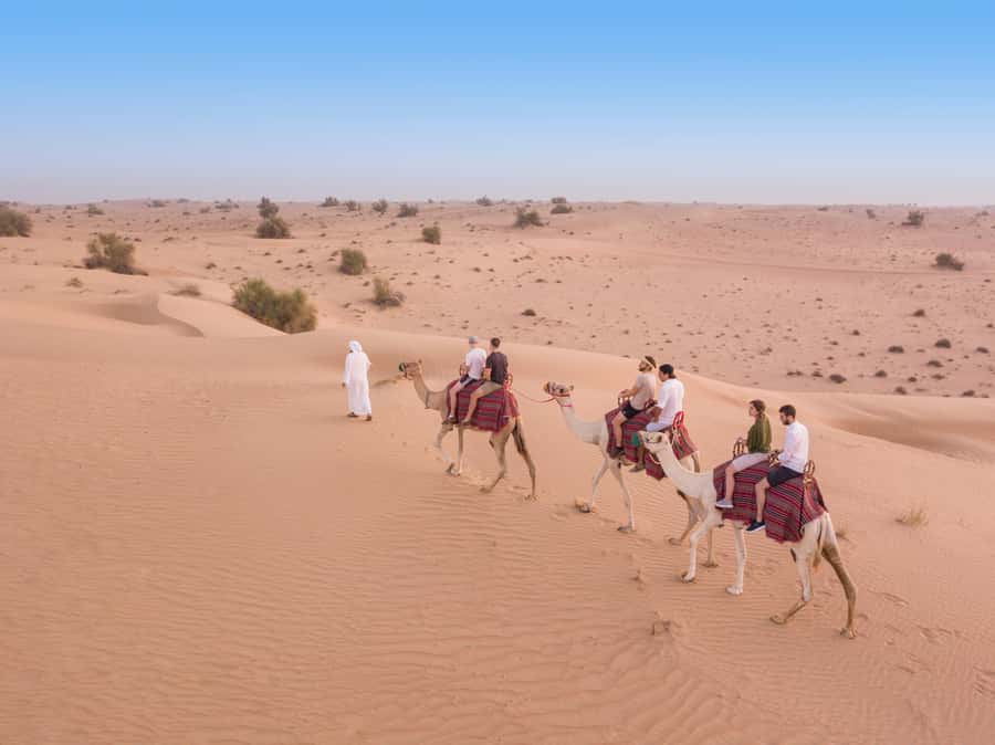 Dubai: Heritage Camel Desert Safari with Traditional Dinner - Sunset Falconry: Calm Birds, Big Attention