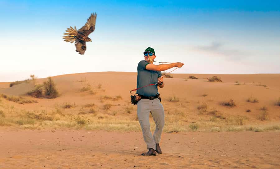 Dubai: Heritage Desert Safari wtih Overnight and Breakfast - Sunset falconry: the show is the moment, not just a photo line