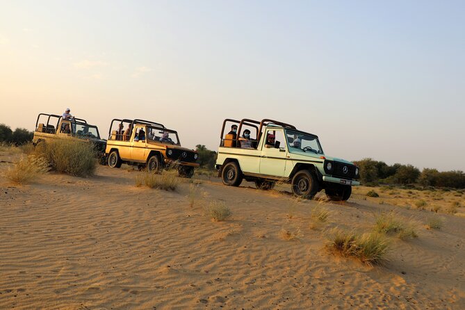 Dubai: Morning Heritage Safari by Vintage G Class & Al Marmoom Oasis - Stop 3: Bedouin village welcome—gahwa, sweets, and the camel caravan